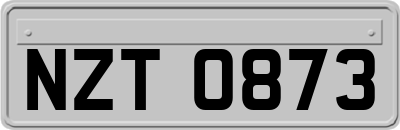 NZT0873
