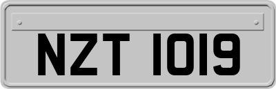 NZT1019