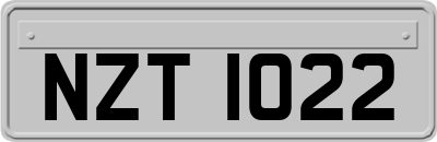 NZT1022