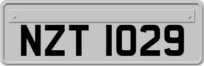 NZT1029