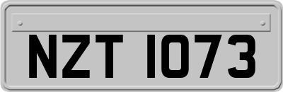 NZT1073