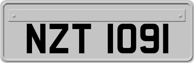 NZT1091