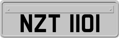 NZT1101