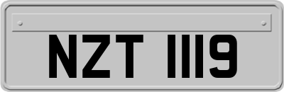 NZT1119