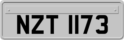 NZT1173