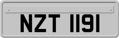 NZT1191