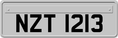 NZT1213