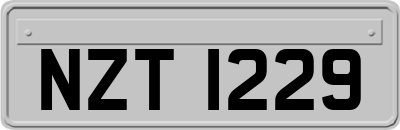 NZT1229