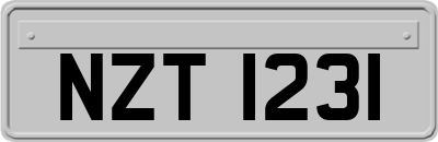 NZT1231