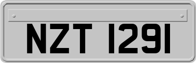 NZT1291