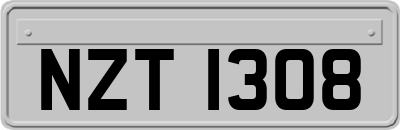 NZT1308