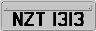 NZT1313