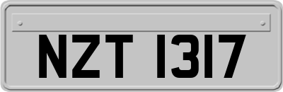 NZT1317