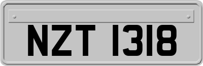 NZT1318