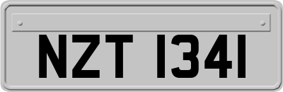 NZT1341