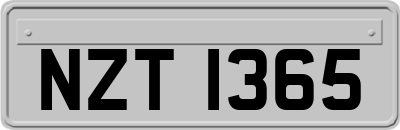 NZT1365