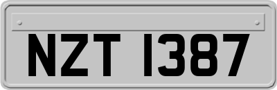 NZT1387