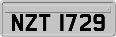 NZT1729