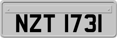 NZT1731