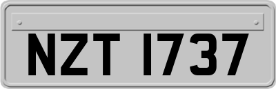 NZT1737