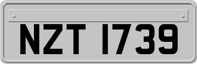 NZT1739