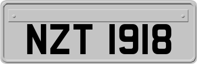 NZT1918