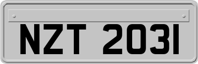 NZT2031