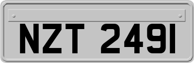 NZT2491