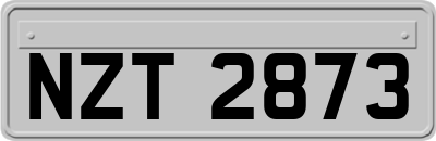 NZT2873