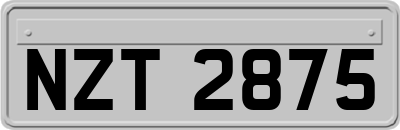 NZT2875