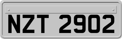 NZT2902