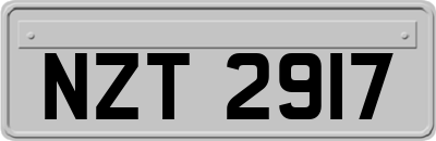 NZT2917