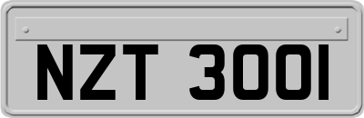 NZT3001