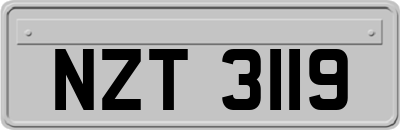 NZT3119