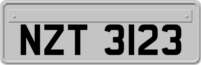 NZT3123