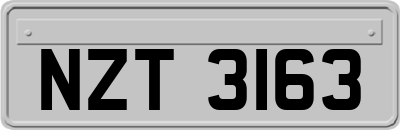 NZT3163