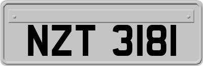 NZT3181