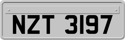NZT3197