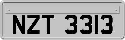 NZT3313