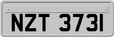 NZT3731
