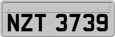 NZT3739