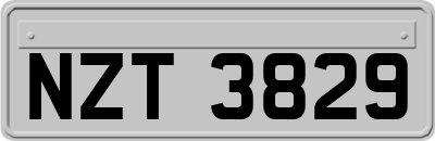NZT3829