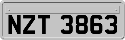 NZT3863