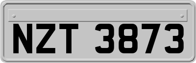 NZT3873
