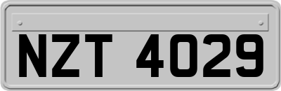 NZT4029