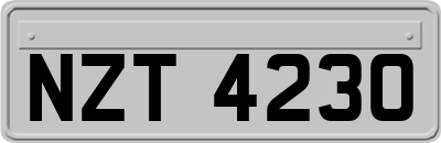 NZT4230
