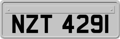 NZT4291