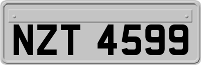 NZT4599