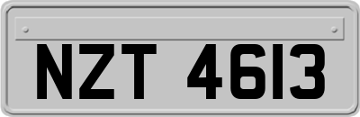 NZT4613