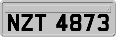 NZT4873